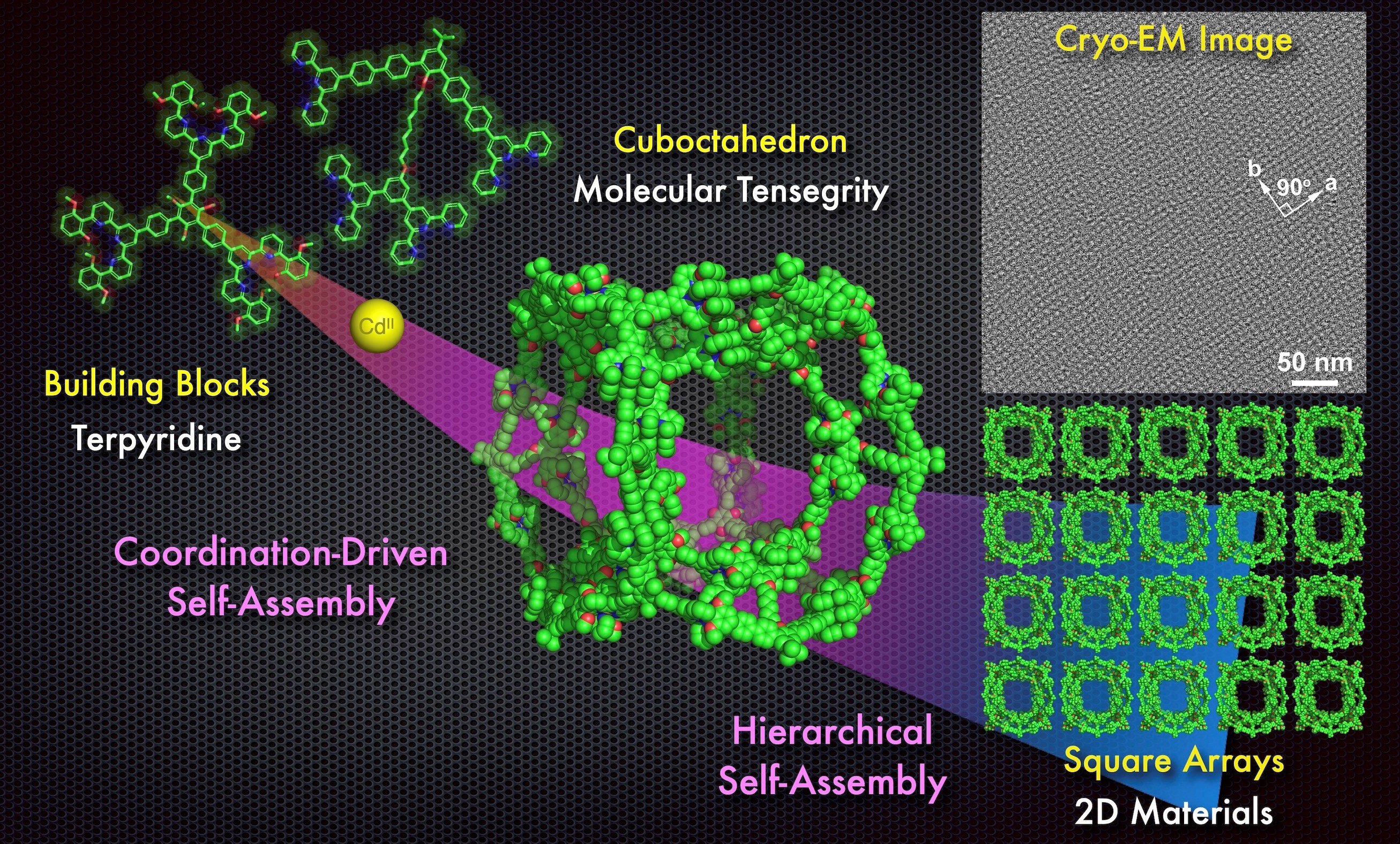 巨型超分子截半立方體的逐級自組裝