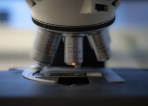 雷射掃描式共軛焦顯微鏡 (Laser Scanning Confocal Microscope)
