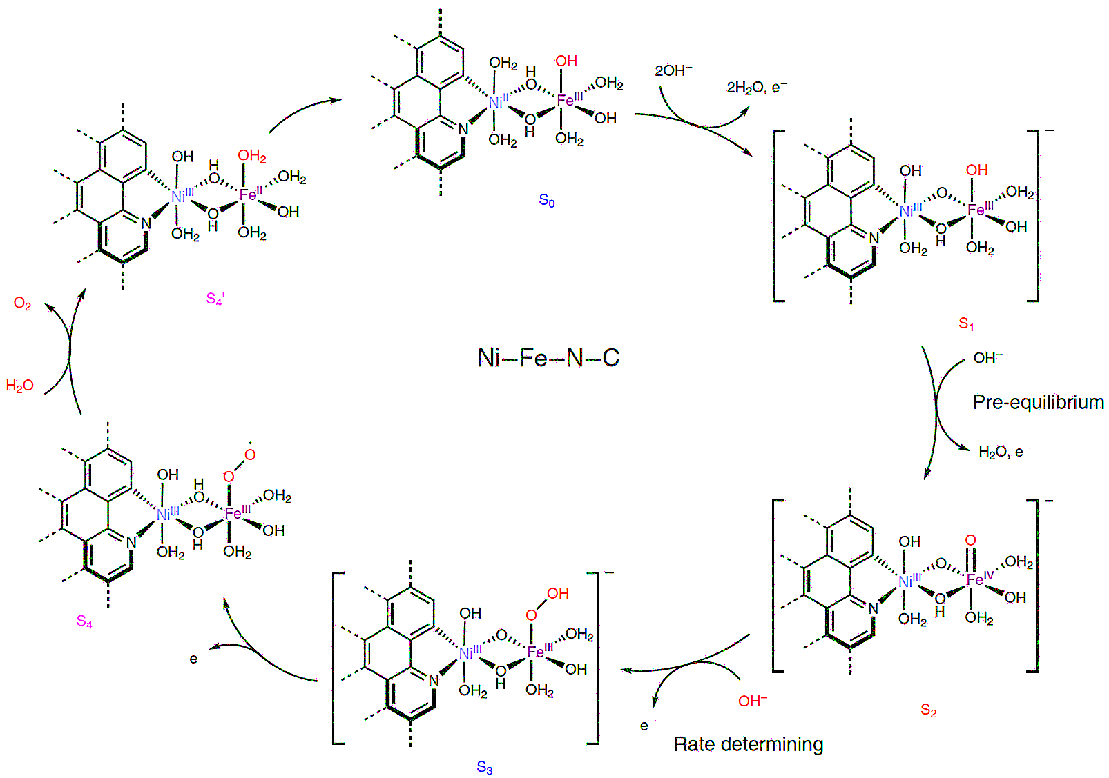 OER mechanism on Ni-Fe double-atom catalyst