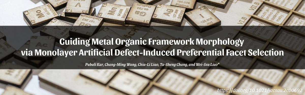 Guiding Metal Organic Framework Morphology via Monolayer Artificial Defect-Induced Preferential Facet Selection