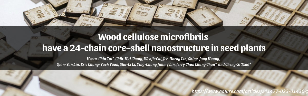 The wood cellulose microfibrils nanostructure in see plants